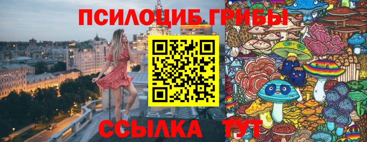 Псилоцибиновые грибы MAGIC MUSHROOMS Кинель