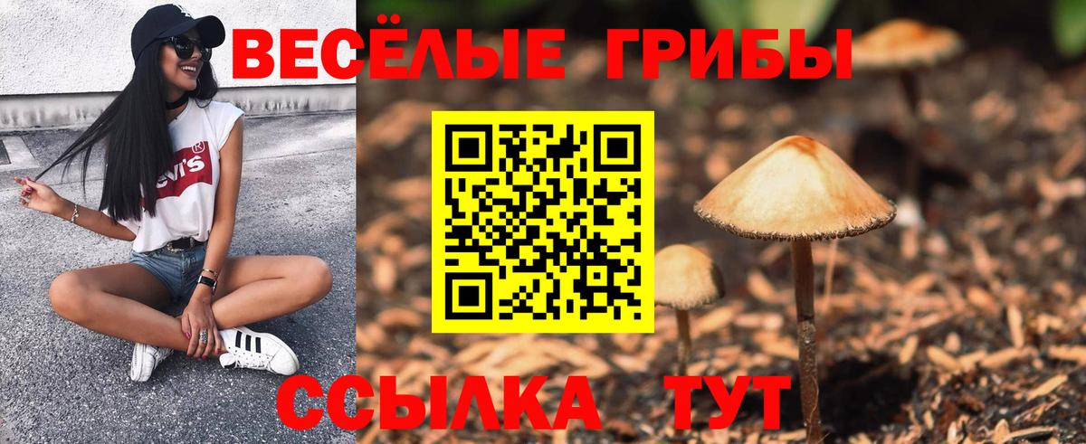 Галлюциногенные грибы мухоморы  Галлюциногенные грибы Psilocybine cubensis  Вход с VPN  Кинель 