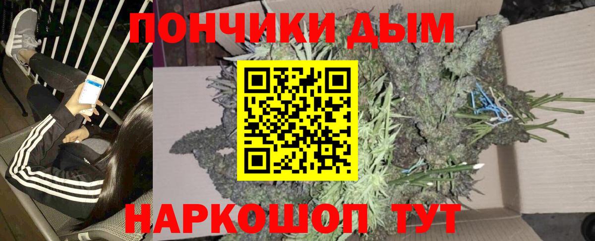 Конопля OG Kush  Вход с VPN  Кинель  Конопля Amnesia  МАРИХУАНА индика 